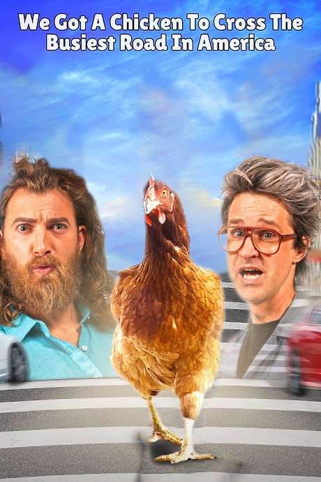 We Got a Chicken To Cross the Busiest Road in America